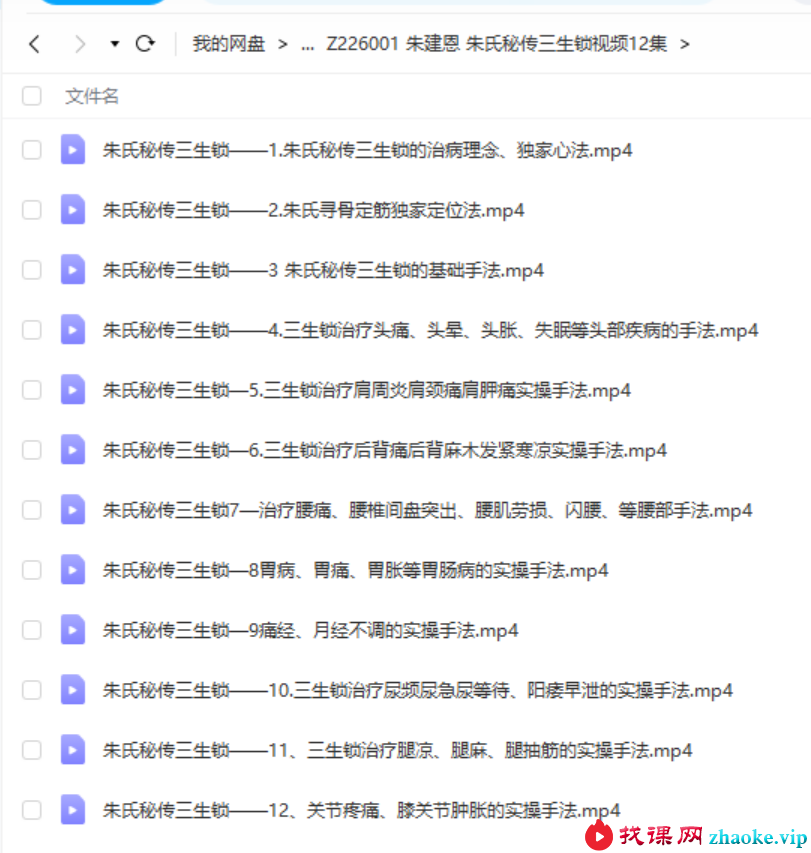 朱建恩 朱氏秘传三生锁视频12集
