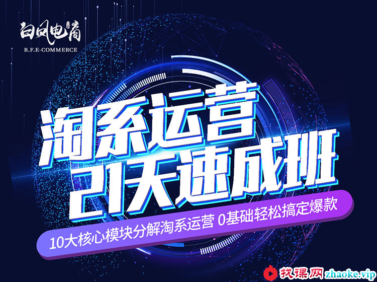 白凤电商-淘系运营21天速成班2026年7月更新(价值4999元)