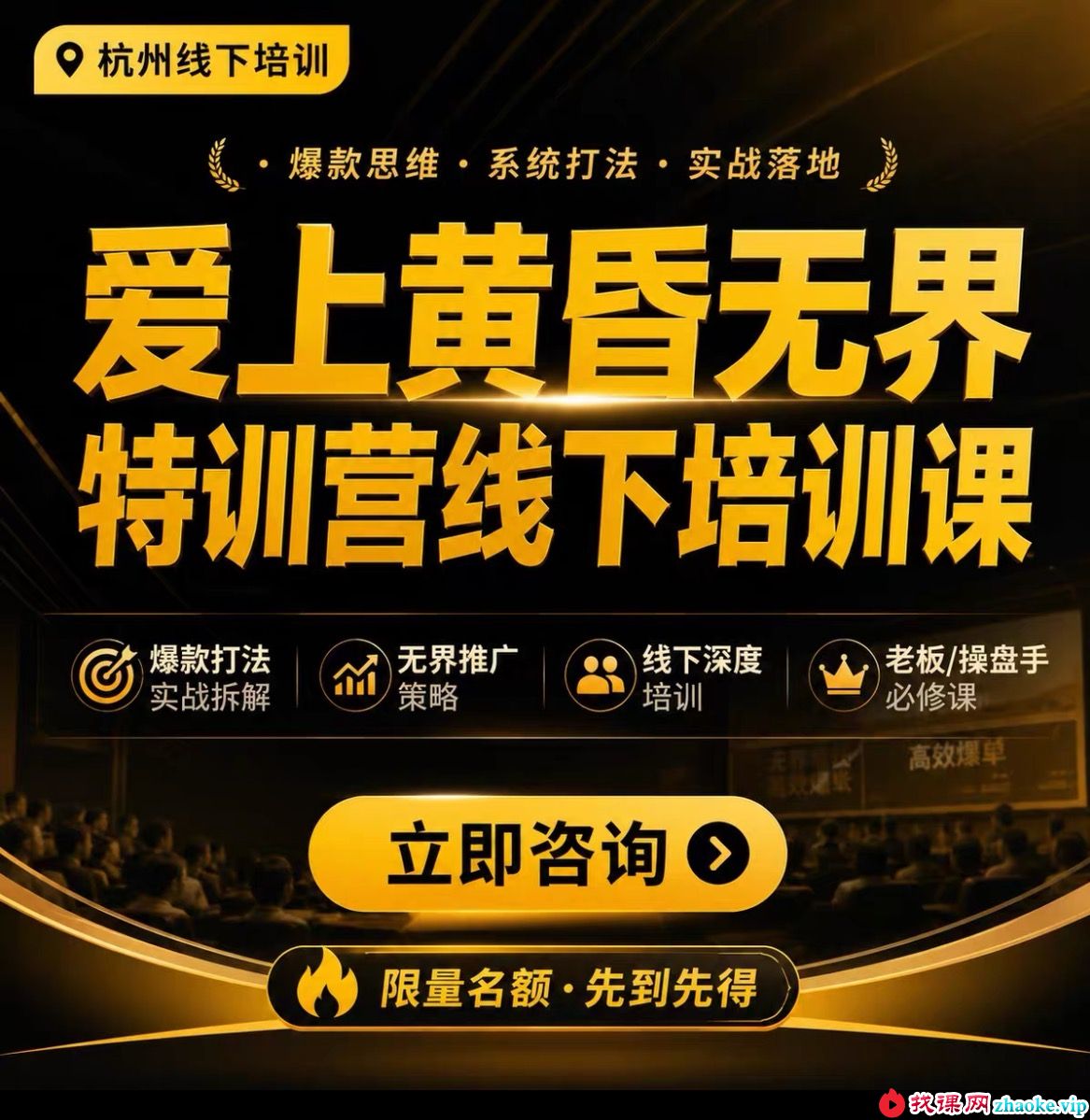 爱上黄昏无界特训营AI推广实战7月27-30杭州线下课(价值9800元)