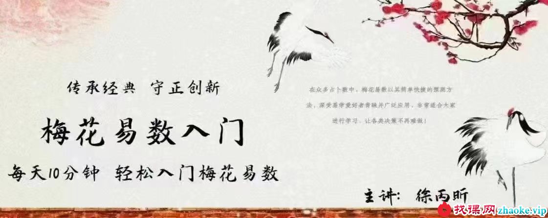徐丙昕梅花易数入门视频26集