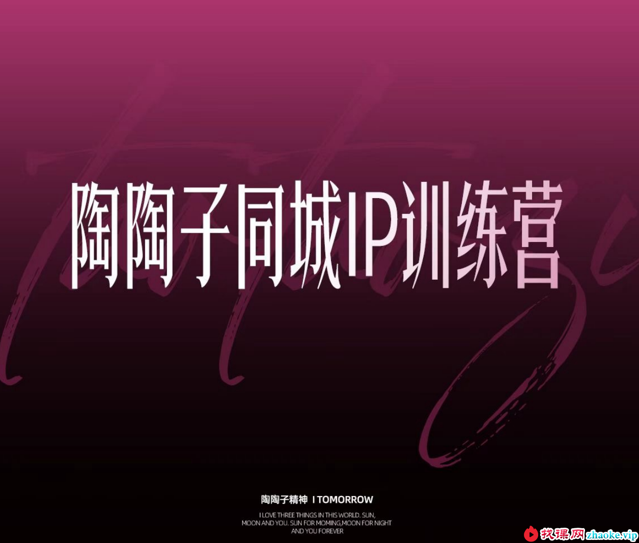 陶陶子-30天同城IP训练营62节完整版杭州2026年(价值12800元)