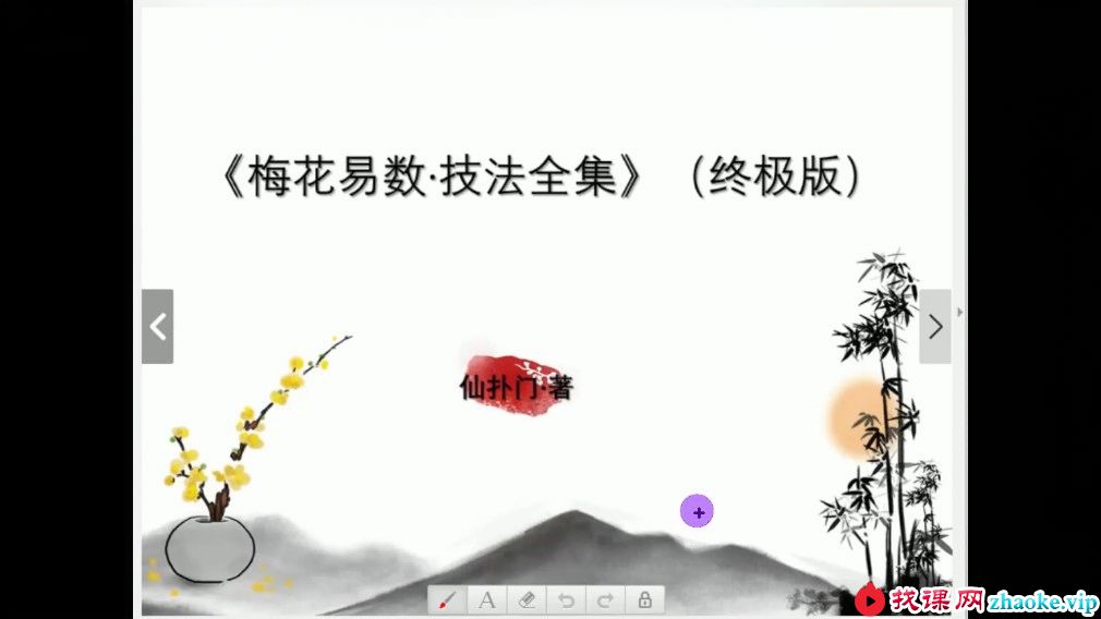 仙扑门-梅花易术（终极版） 梅花易数直播视频11集视频