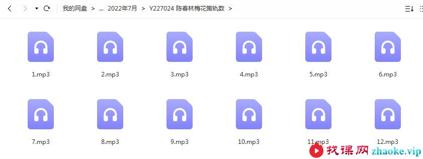 陈春林梅花策轨数录音12集