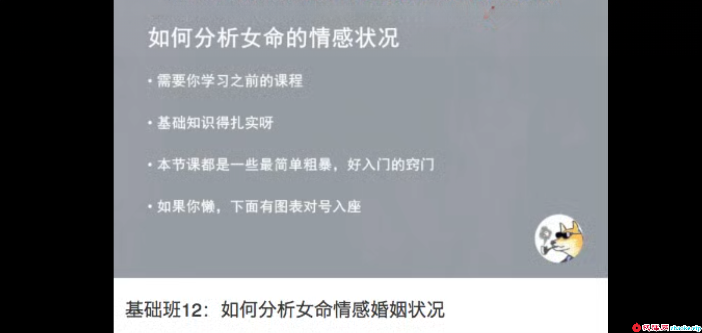 柴犬花生酱八字基础班送速成