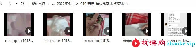 寰清神传紫薇讳 紫薇水传授 小视频5个+资料