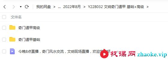 文玥奇门基础班+高级班共21集视频
