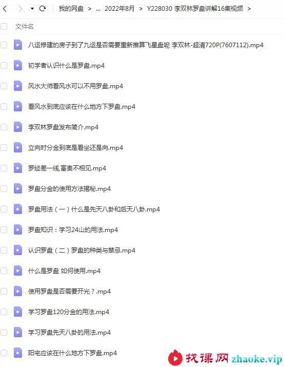 李双林罗盘讲解16集视频