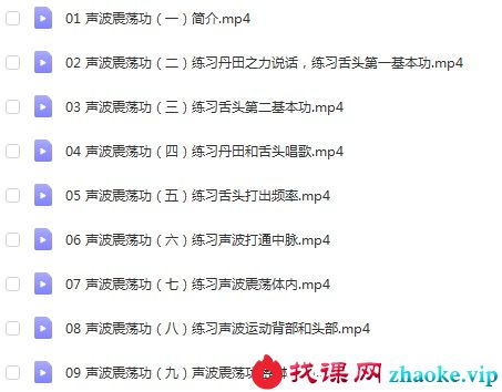 曾老师《声波震荡功》视频9节