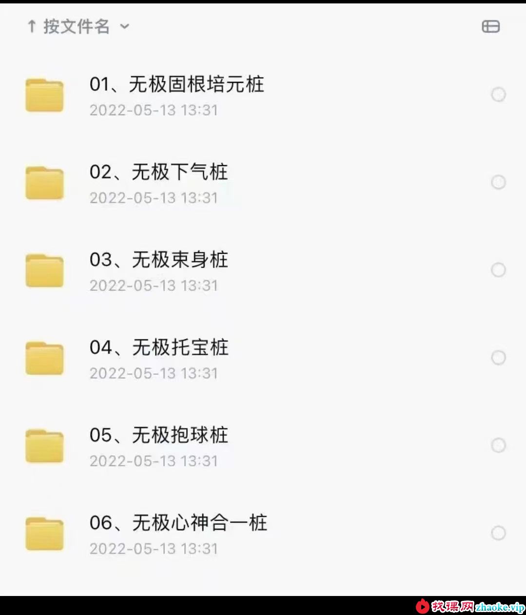 通悟功—秘传无极桩体系