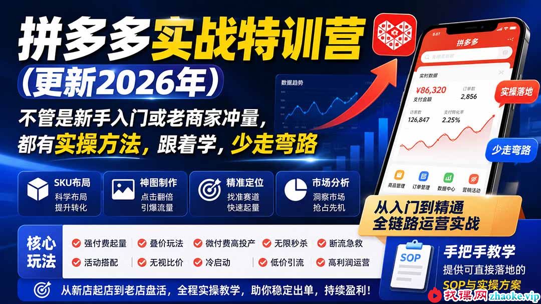 （20010期）拼多多实战特训营(更新26年0822)：不管是新手入门或老商家冲量，都有实操方法，跟着学，少走弯路