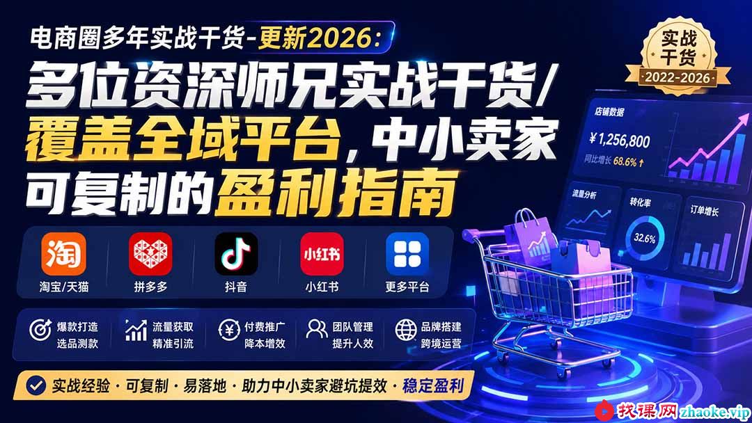 （20012期）电商圈多年实战干货-更新2026：多位资深师兄实战干货/覆盖全域平台，中小卖家可复制的盈利指南
