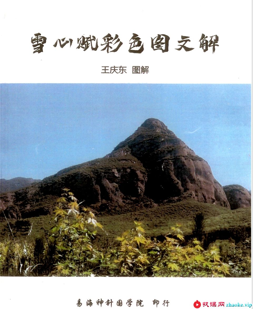 王庆东 易海神针-雪心赋彩色图文解