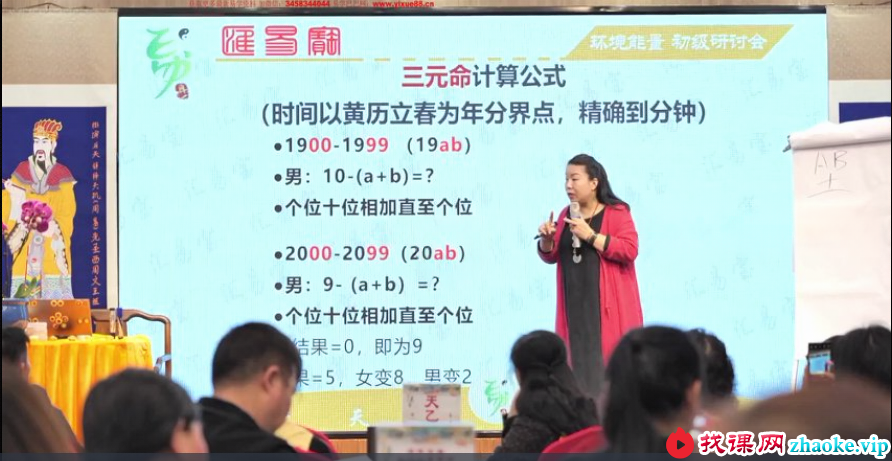徐子辰环境能量研讨会17集
