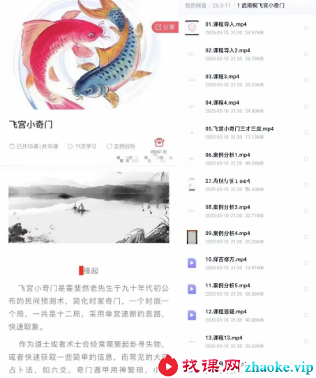 武雨桐飞宫小奇门15集
