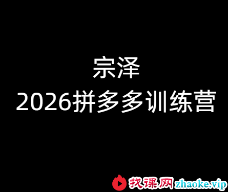 宗泽-2026拼多多训练营9月8更新(价值3980元)