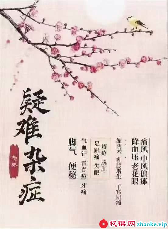 杨林 五十项疑难杂症38页