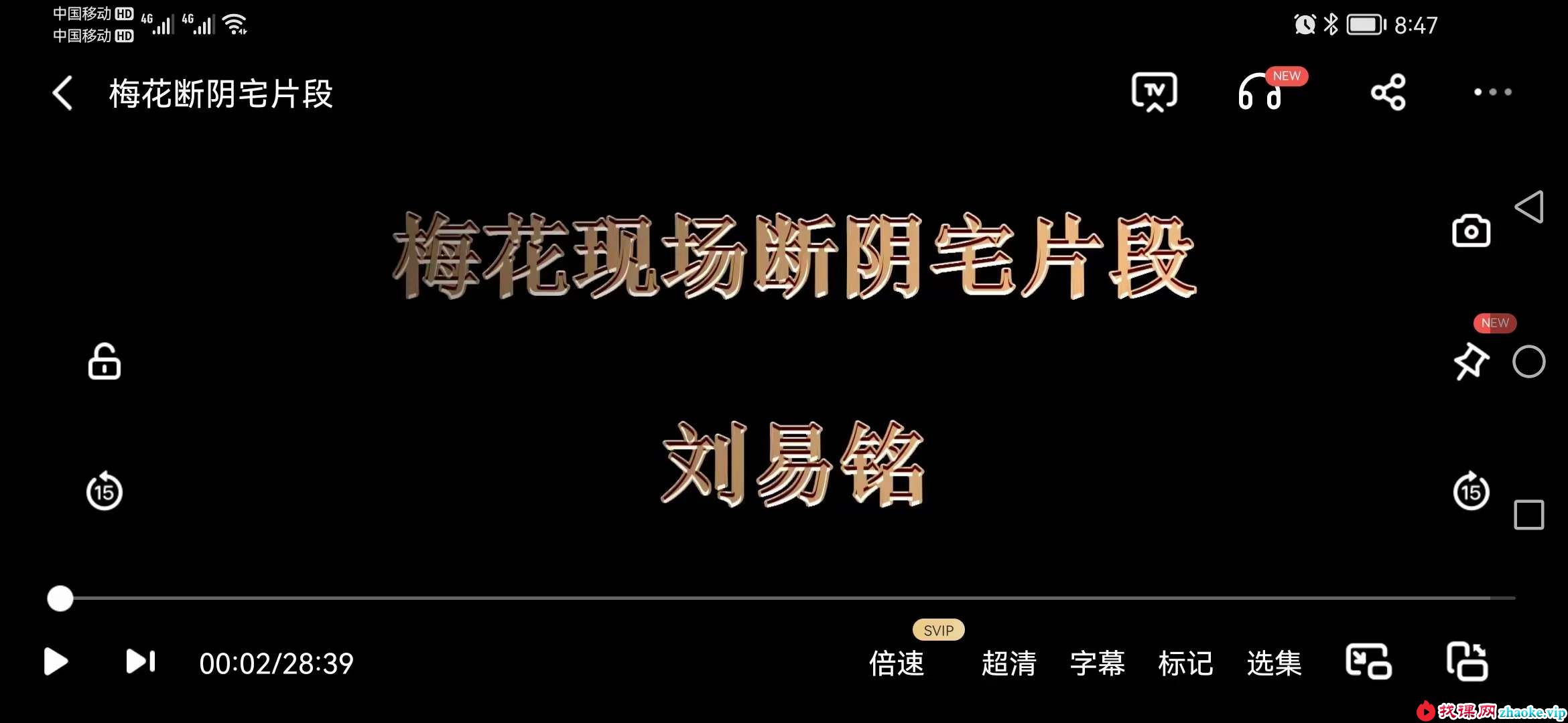 刘易铭梅花易数断卦案例 36集