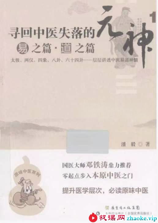 潘毅《寻回中医失落的元神-易之篇·道之篇》435页