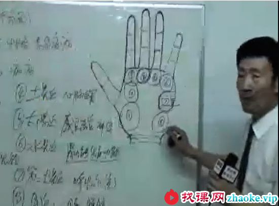 王守志-手诊疾病讲座视频5集