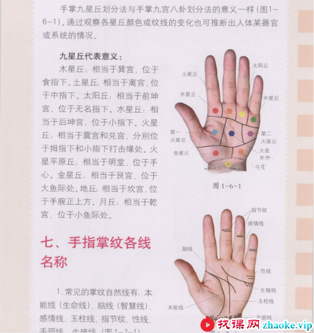 赵理明-掌纹诊病学视频3集+资料