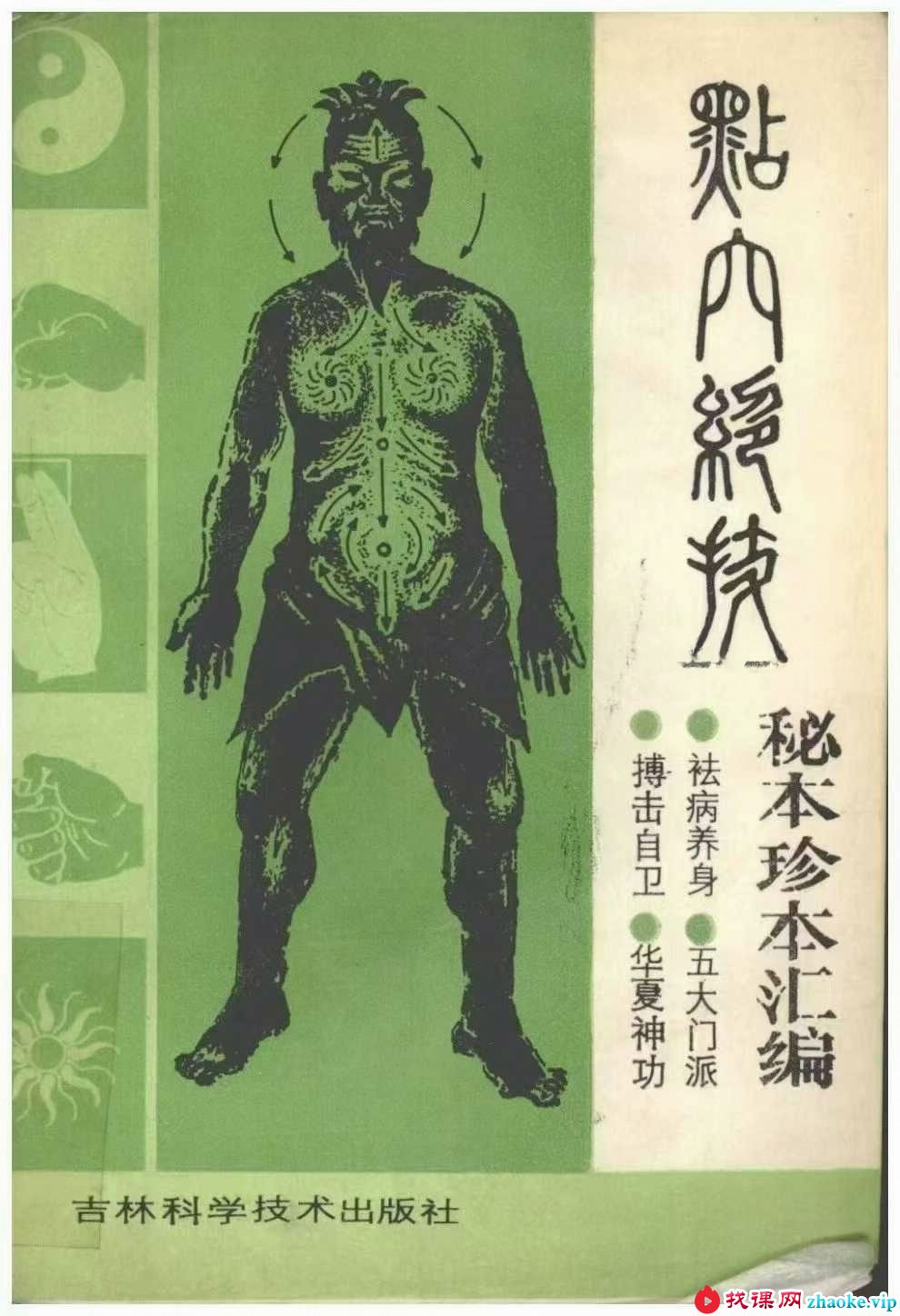 王俊雄《点穴 绝技 秘本珍本汇编》753页