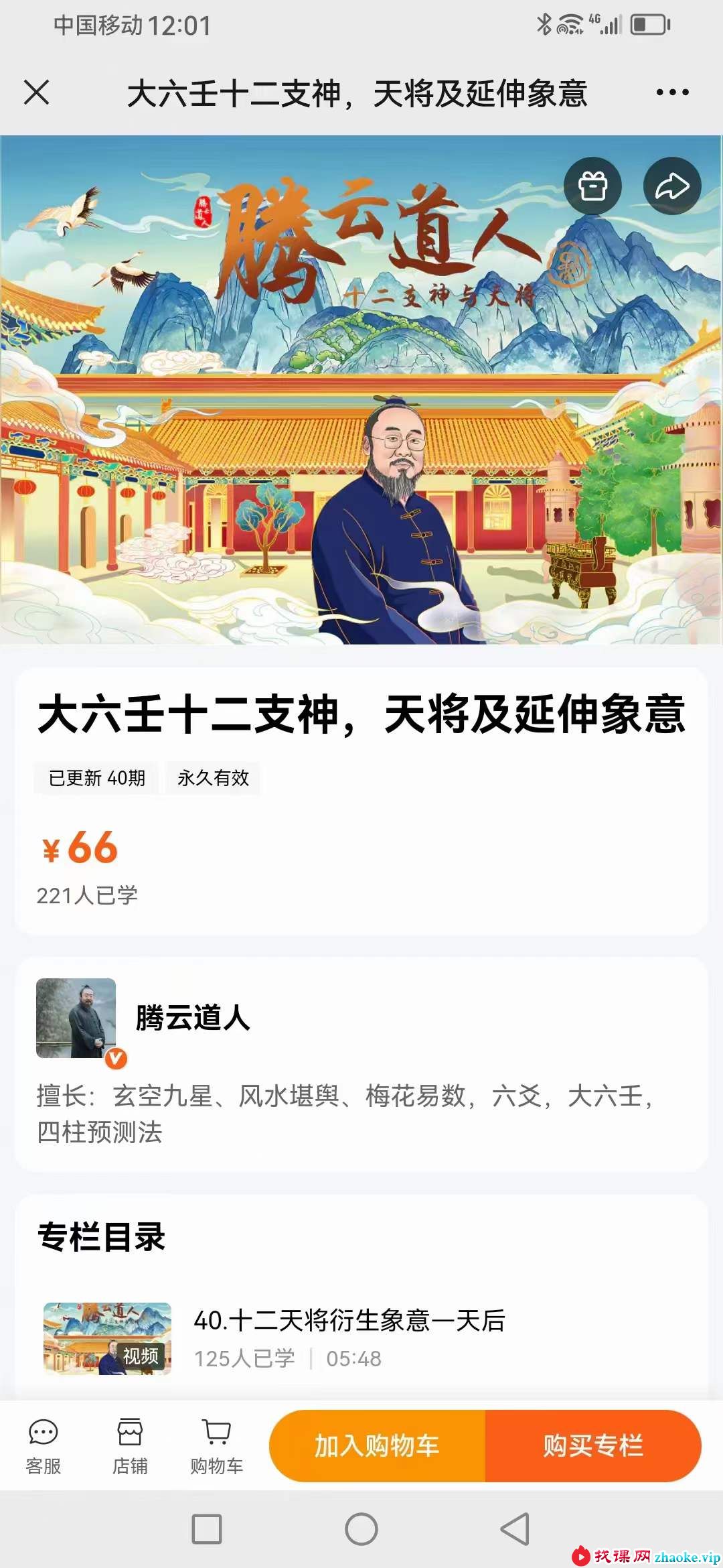 腾云《大六壬十二支神，天将及延伸象意》40集