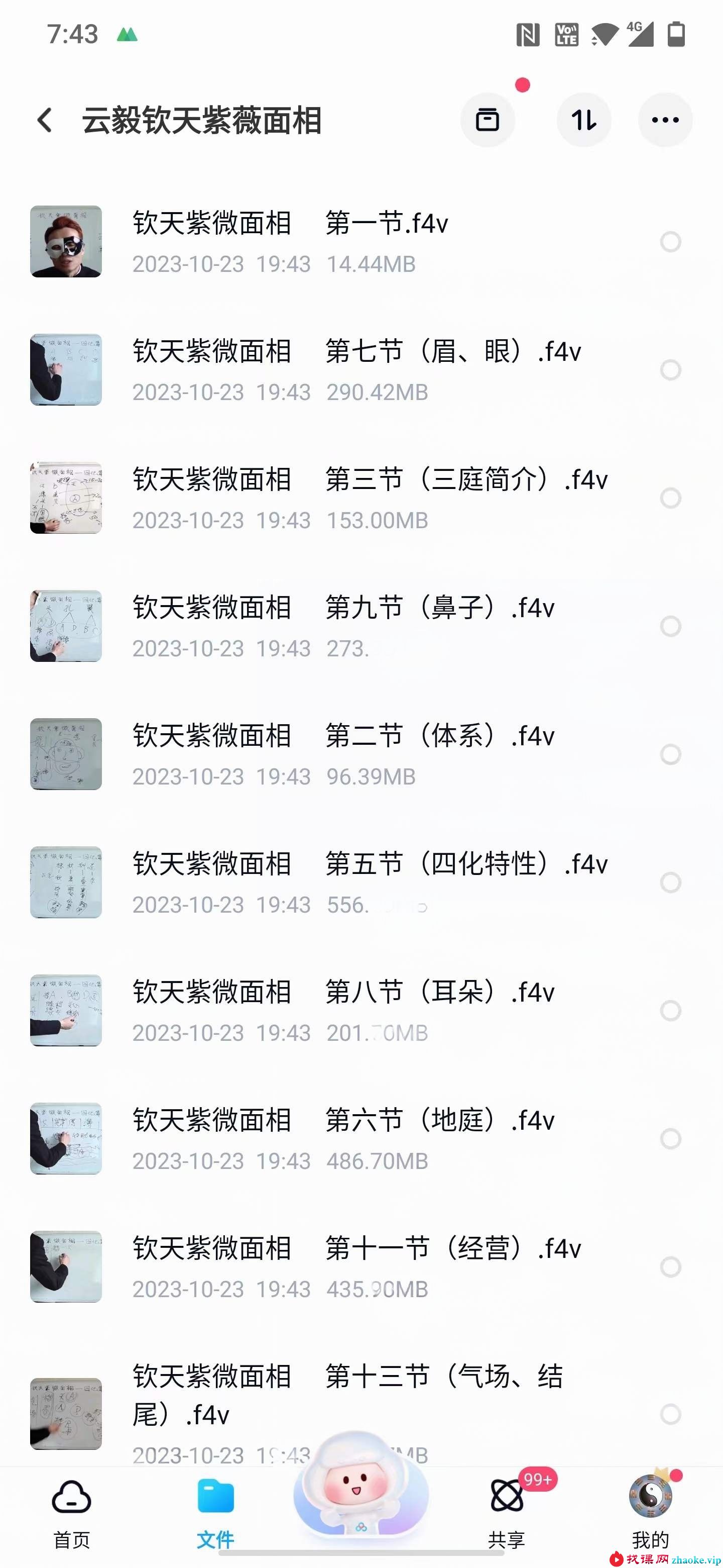 云毅钦天紫薇面相13集