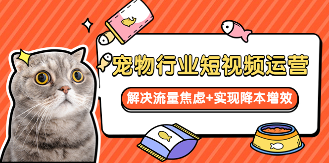 （5925期）宠物/行业短视频运营 流量增长的一层窗户纸 解决流量焦虑+实现降本增效
