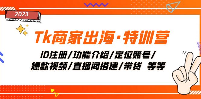 （7974期）Tk商家出海·特训营：ID注册/功能介绍/定位账号/爆款视频/直播间搭建/带货