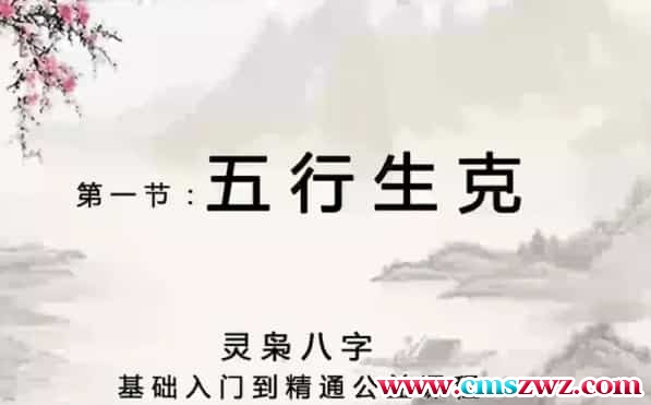 灵枭秘传八字高清视频+文档 视频208集百度盘下载插图