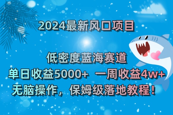 （8545期）2024最新风口项目 低密度蓝海赛道，日收益5000+周收益4w+ 无脑操作