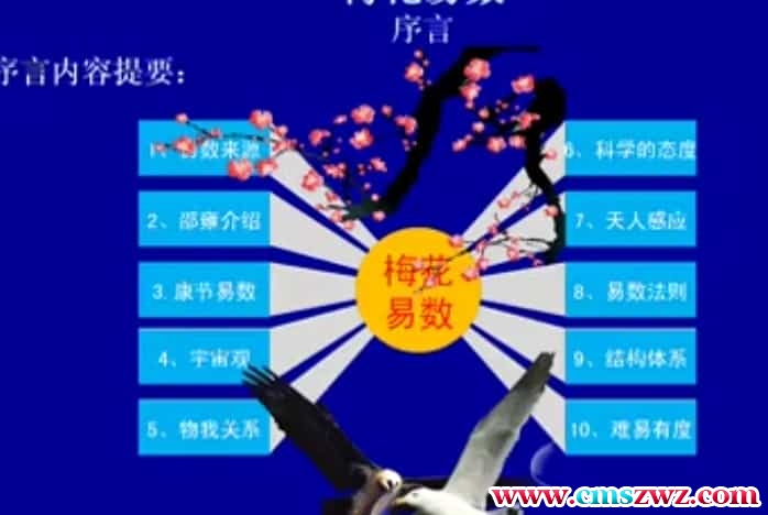 陈有道 梅花易数视频教学培训课程全21集插图