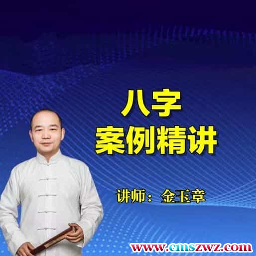 金玉章八字实务案例 和四柱八字精批音频教学28个插图