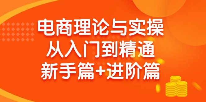 （9576期）电商理论与实操从入门到精通：抖店+淘系+多多，新手篇+进阶篇