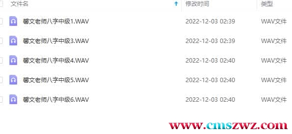 馨文老师八字 馨文老师八字中级课程录音合集插图