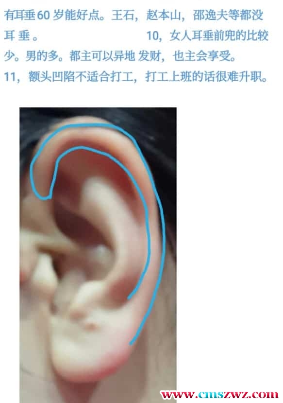 详睿相法第二届初级相学资料总结pdf文档119页插图