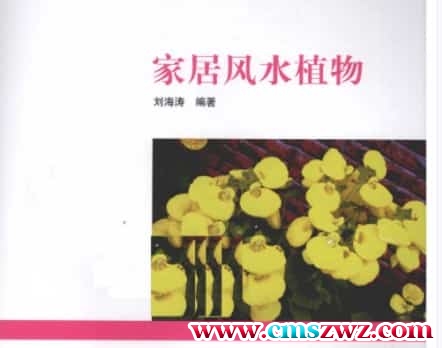 [家居风水植物].刘海涛.扫描版(1)  .pdf插图
