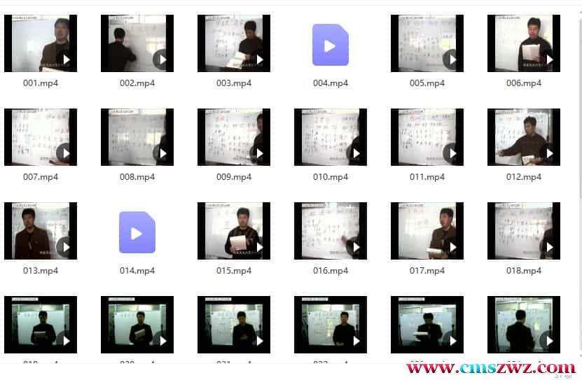 刘文元-大六壬面授教学光盘37集视频插图1