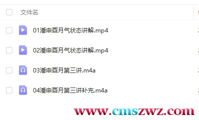 潘昭佑2020运用班申酉讲解视频+录音插图