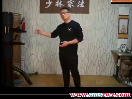万千 形意拳印掌14集视频教学 万千老师形意拳印掌14集视频 百度盘下载插图