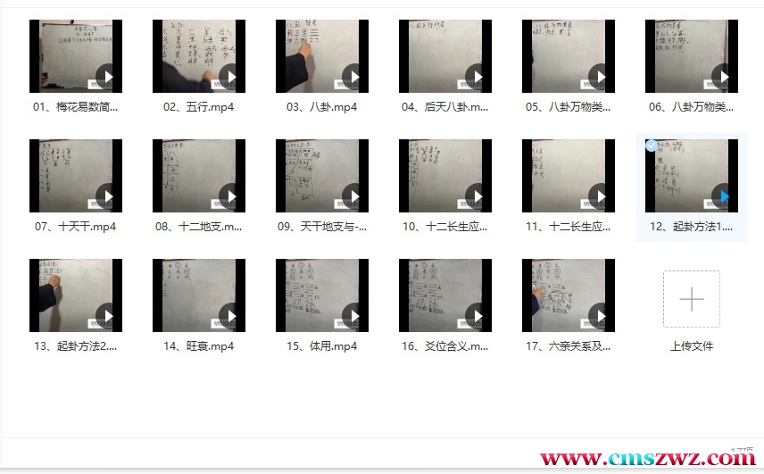 《青衫道人梅花易数》17集讲旺衰，长生用法，爻位六亲，适合梅花爱好插图1