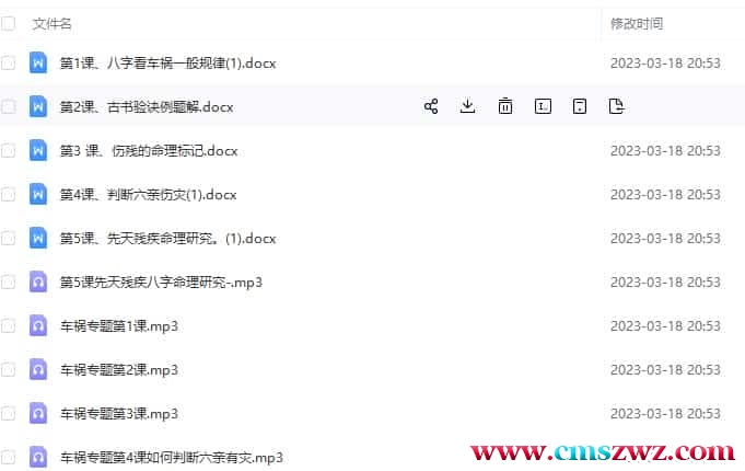 高德臣盲派神煞专题21录音+21文档插图