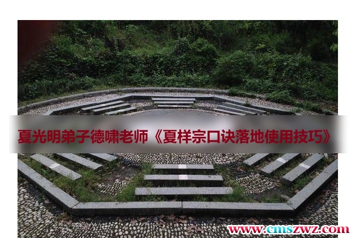 夏样宗口诀落地使用技巧 2集视频课程插图