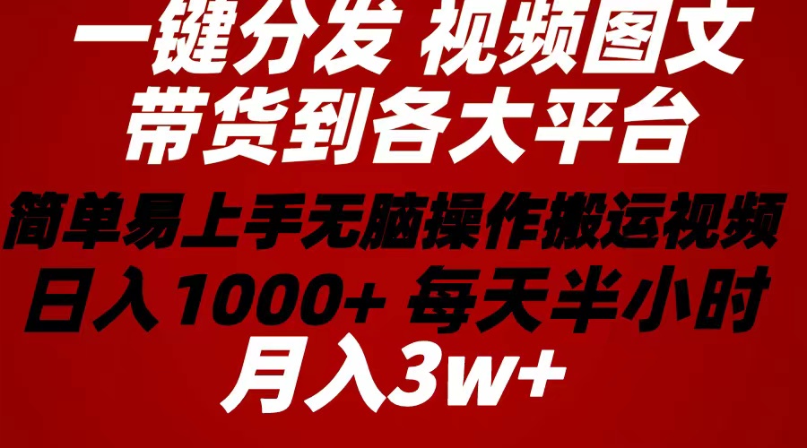 （10667期）2024年 一键分发带货图文视频 简单易上手 无脑赚收益 每天半小时日入1...