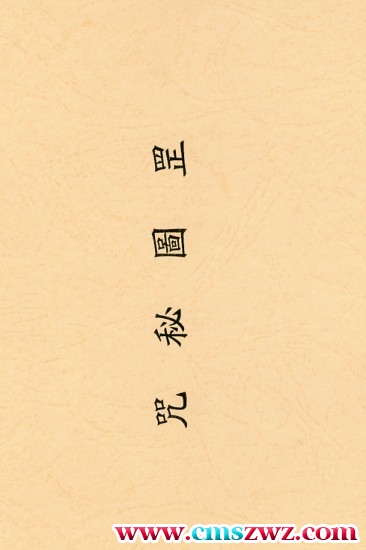 咒秘图罡PDF插图