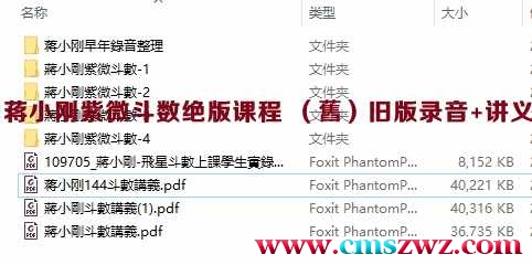蒋小刚紫微斗数绝版课程 （舊）旧版录音+讲义插图