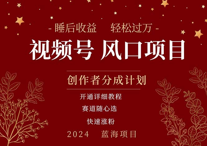 （11331期）拥有睡眠收益的微信视频号大风口项目，轻松月入过万+，多赛道选择，可...