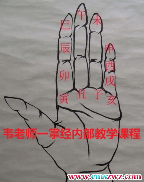 韦老师 一掌经内部教学课程 录音插图