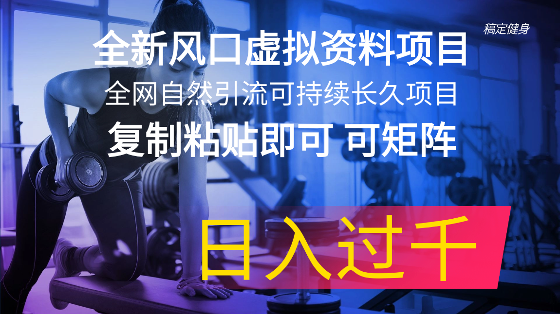 （11587期）全新风口虚拟资料项目 全网自然引流可持续长久项目 复制粘贴即可可矩阵...