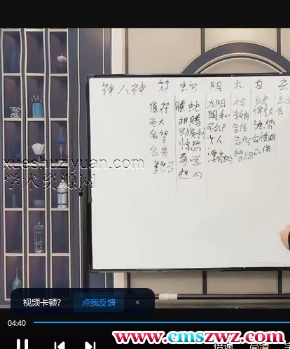 张瑞依20集奇门穿八字真人视频讲解奇门必学w插图